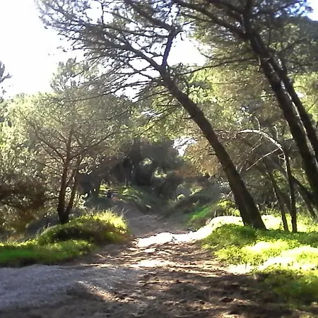 Feriehus Caparica Holidays *