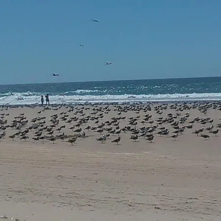 Дом отдыха Caparica Holidays Шарнека